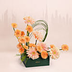 Gerbera Grace