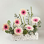 Pink Bloom Garden