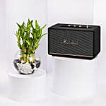 Acton III Bt Black