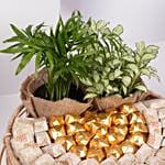 A Gift of Growth and Gratitude