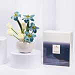 A Night In The Desert Gift Set