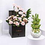 Affairs of Hearts Arrangement With Lucky Bamboo Plant