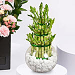 Affairs of Hearts Arrangement With Lucky Bamboo Plant