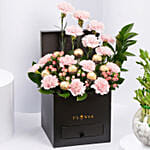 Affairs of Hearts Arrangement With Lucky Bamboo Plant