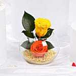 ورود دائمة صفراء و برتقالية | وعاء سمك