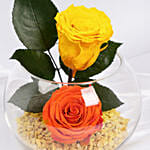 ورود دائمة صفراء و برتقالية | وعاء سمك