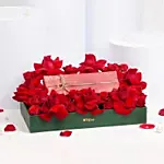 Apple Watch Series 10 42mm Loop Band Silver