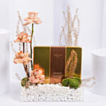 علبة بسكويت التمر من بتييل في بوكس ورد لون كابتشينو