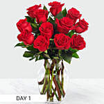 Beautiful Roses Everyday