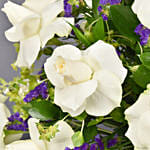 عبير الزهور | فازة ورد جوري