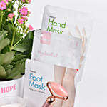 مجموعة عناية بالبشرة في بوكس مع نبتة كلانشوا في أصيص