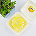 Birthday Wish Lunchbox Chocolate Cake and Lucky Bamboo