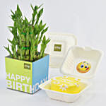 Birthday Wish Lunchbox Redvelvet Cake and Lucky Bamboo