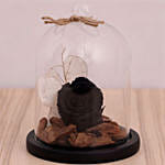 وردة سوداء طبيعية طويلة العمر في قبة زجاجية