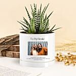 نبتة إيشفيريا صداقة مزهرة