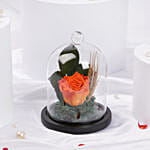 وردة برتقالية دائمة