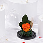 وردة برتقالية دائمة