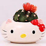 Cactus In Hello Kitty Ceramic Pot