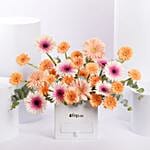 Candy Gerbera Delight