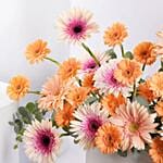 Candy Gerbera Delight