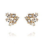 باقة ورد مع أقراط كارولين سفدبوم وكريستالات سواروفسكي للنساء