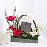 Cerruti 1881 Embellished and Earring For Her