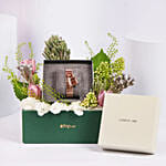 Cerruti 1881 Luxury Rose Gold Watch Gift Box