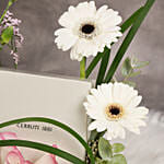 Cerruti Butterfly Rosegold Bracelet For Her