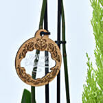 مجموعة هدايا الكريسماس - نبتة أوركيد ونبتة سرو الكريسماس