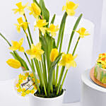 Daffodils Chocolate Cake With Flowers