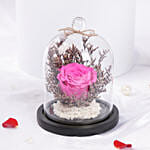 وردة زهرية دائمة في دووم زجاجي