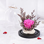 وردة زهرية دائمة في دووم زجاجي