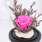 وردة زهرية دائمة في دووم زجاجي