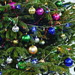 شجرة كريسمس مع زينة الارتفاع 3 م تقريباً