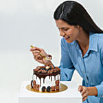 Delicious Choco Vanilla Cake with Plant