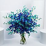 Blue N Purple