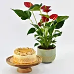 With-Plant