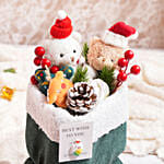 Disguised Delights Package Green