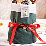 Disguised Delights Package Green
