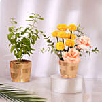 Diwali Sacred Harmony