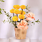 Diwali Sacred Harmony