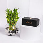 سبيكر مارشال إمبيرتون III أسود مع بامبو