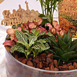 Eid Serenity Planter