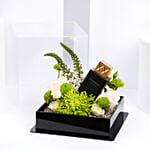 سلة ورد عطر شغف عود اسود من سويس اربيان 75 مل