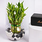 سبيكر مارشال إمبيرتون III أسود مع بامبو