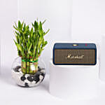 سبيكر مارشال إمبيرتون III أزرق مع بامبو