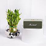 سبيكر مارشال إمبيرتون III أخضر مع بامبو