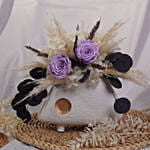 أنتيكة هيدرانجيا مجففة