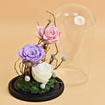 فور ايفر روز 3 ألوان في قبة زجاجية ممتازة