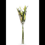 Fresh Bunch of Pink Oriental Lilies 4 Lilies